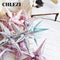 Explosion Star Foil Balloon