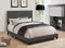 Fabric Upholstered Queen Size Platform Bed with Nail Head Trim, Charcoal Gray-Bedroom Furniture-Gray-Fabric and Wood-JadeMoghul Inc.