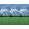 FADELESS 48X50 ROLL MOUNTAINS BOXED-Arts & Crafts-JadeMoghul Inc.