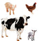 FARM ANIMALS PHOTOGRAPHIC STICKERS-Learning Materials-JadeMoghul Inc.
