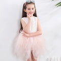 Fashion Clothing Pretty Girl Lace Design Tutu Dress TIY