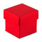 Favor Boxes Bags & Containers Passion Red Square Favor Box with Lid (Pack of 10) Weddingstar