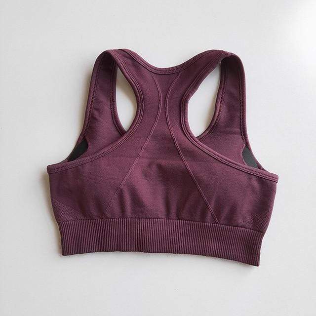 Fitness Women Yoga Set Gym 2-Piece Bras+Seamless Leggings Push Up Pants Exercise Padded Workout Running Suit Sportswear Athletic JadeMoghul Inc. 