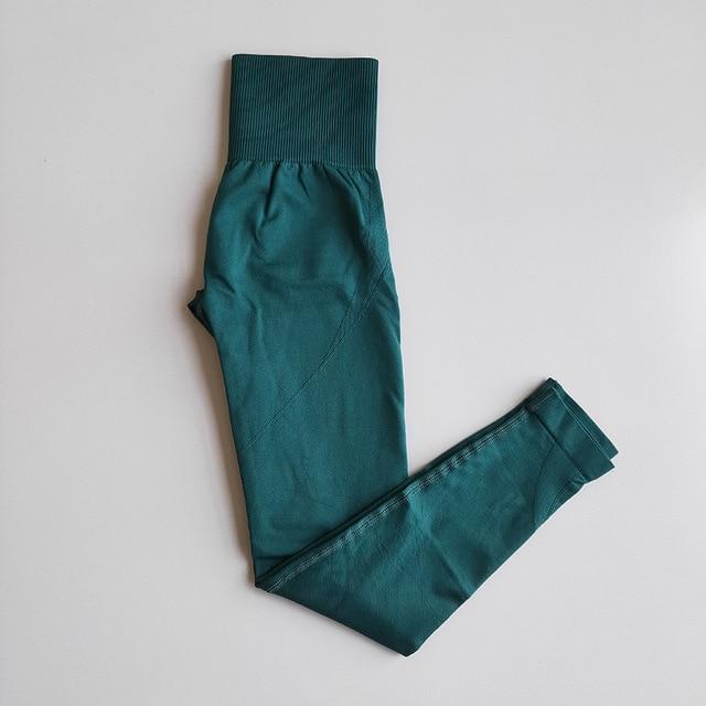 Fitness Women Yoga Set Gym 2-Piece Bras+Seamless Leggings Push Up Pants Exercise Padded Workout Running Suit Sportswear Athletic JadeMoghul Inc. 