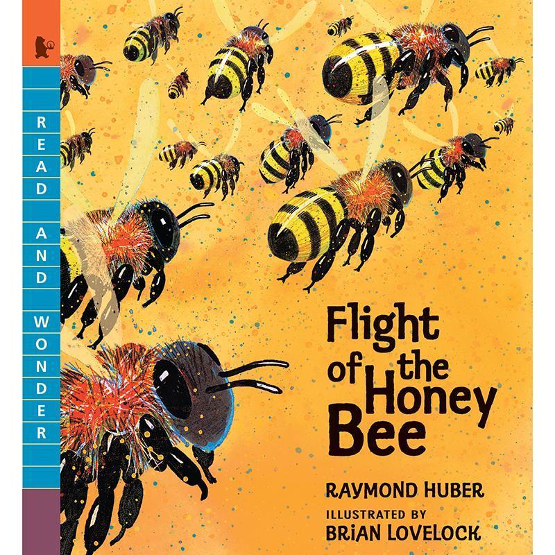 FLIGHT OF THE HONEY BEE-Childrens Books & Music-JadeMoghul Inc.