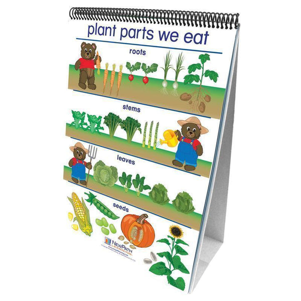 FLIP CHARTS ALL ABOUT PLANTS EARLY-Learning Materials-JadeMoghul Inc.