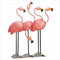 Decoration Ideas Flock O Flamingos Decor