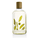 Fragrances For Women Olive Leaf Body Wash - 270ml-9.25oz Thymes