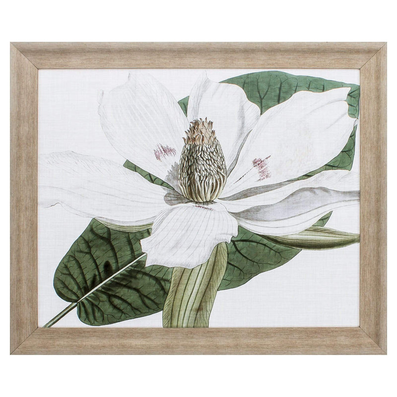 Frames Big Picture Frames - 31" X 26" Champagne Color Frame Curtis Magnolia II HomeRoots