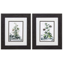 Frames Black Picture Frames 10" X 12" Distressed Black Frame Munting Garden (Set of 2) 5120 HomeRoots