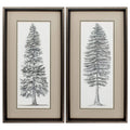 Frames Cheap Picture Frames - 14" X 26" Brushed Silver Frame Pacific Tree Sketch (Set of 2) HomeRoots