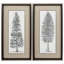 Frames Cheap Picture Frames - 14" X 26" Brushed Silver Frame Pacific Tree Sketch (Set of 2) HomeRoots