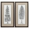 Frames Cheap Picture Frames - 14" X 26" Brushed Silver Frame Pacific Tree Sketch (Set of 2) HomeRoots