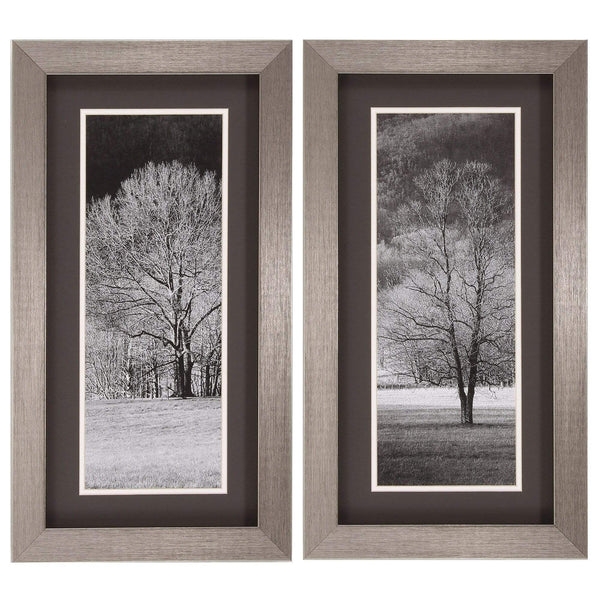 Frames Cheap Picture Frames - 14" X 26" Silver Frame Black & White Trees (Set of 2) HomeRoots