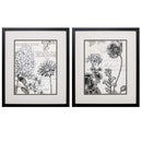 Frames Cheap Picture Frames - 17" X 20" Silver Frame Pen Ink Floral Study (Set of 2) HomeRoots