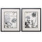 Frames Cheap Picture Frames - 17" X 20" Silver Frame Pen Ink Floral Study (Set of 2) HomeRoots