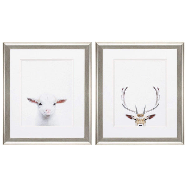 Frames Cheap Picture Frames - 19" X 22" Brushed Silver Frame Goat Deer (Set of 2) HomeRoots