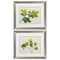 Frames Cheap Picture Frames - 22" X 19" Brushed Silver Frame Natural Greenery (Set of 2) HomeRoots