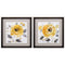Frames Collage Picture Frames - 18" X 18" Brushed Silver Frame Honey Rose (Set of 2) HomeRoots