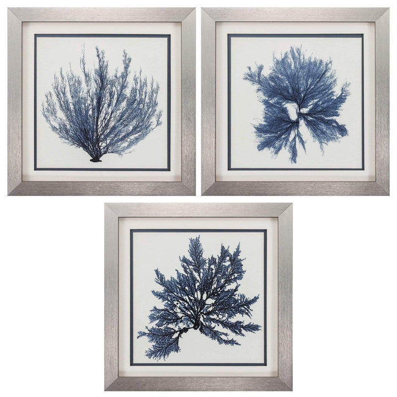 Frames Family Picture Frames - 22" X 22" Silver Frame Coastal Seaweed (Set of 3) HomeRoots