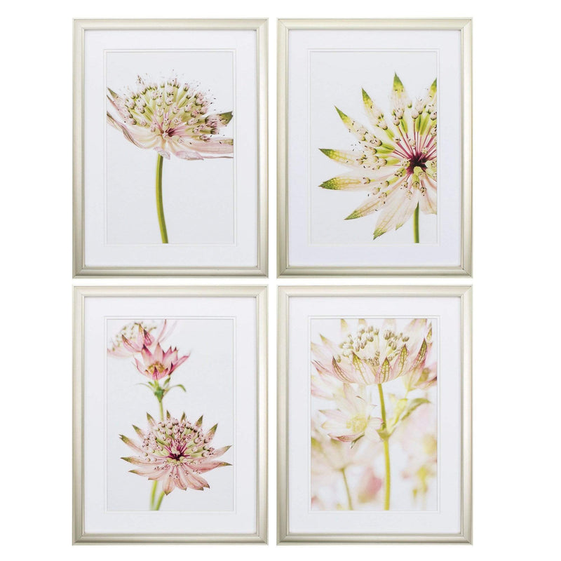 Frames Modern Picture Frames - 18" X 24" Champagne Gold Color Frame Astrantia (Set of 4) HomeRoots