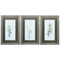 Frames Painting Picture Frames - 22" X 34" Champagne Color Frame Botanica Whimsy (Set of 3) HomeRoots