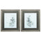 Frames Painting Picture Frames - 28" X 32" Champagne Color Frame Neutral Botany (Set of 2) HomeRoots