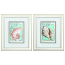 Frames Picture Frame Set - 10" X 12" Champagne Gold Color Frame Nautilus Turban (Set of 2) HomeRoots