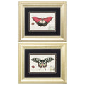 Frames Picture Frame Set - 13" X 11" Gold Frame Butterfly (Set of 2) HomeRoots