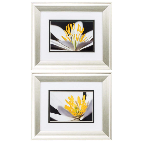 Frames Picture Frames - 13" X 11" Aged Silver Frame White Poccoon (Set of 2) HomeRoots