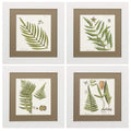 Frames Rustic Picture Frames - 16" X 17" White Frame Fern (Set of 4) HomeRoots