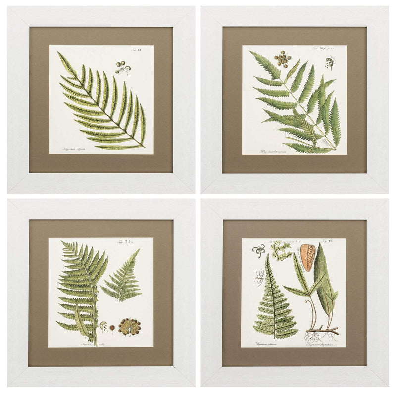 Frames Rustic Picture Frames - 16" X 17" White Frame Fern (Set of 4) HomeRoots