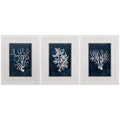 Frames Rustic Picture Frames - 21" X 27" White Frame Wood Coral Blue (Set of 3) HomeRoots