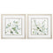 Frames Square Picture Frames - 18" X 18" Champagne Gold Color Frame Sage Garden (Set of 2) HomeRoots