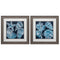 Frames Square Picture Frames 19" X 19" Distressed Wood Toned Frame Marine Shells (Set of 2) 5310 HomeRoots