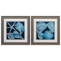 Frames Square Picture Frames 19" X 19" Distressed Wood Toned Frame Marine Shells (Set of 2) 5311 HomeRoots