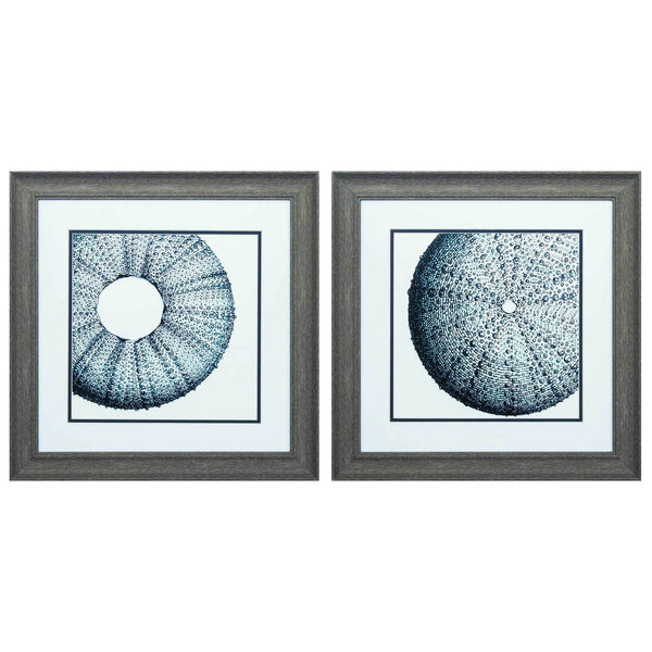 Frames Square Picture Frames - 19" X 19" Distressed Wood Toned Frame Sea Urchin (Set of 2) HomeRoots