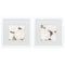 Frames White Picture Frames - 11" X 11" Matte White Frame Gentle Blossoms (Set of 2) HomeRoots