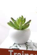 Fridge Magnets Potted Artificial Green succulent plants Bonsai set fake Flower vase Souvenir Blackboard Magnetic Stickers AExp