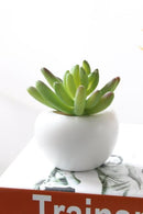 Fridge Magnets Potted Artificial Green succulent plants Bonsai set fake Flower vase Souvenir Blackboard Magnetic Stickers AExp