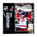 Top Dog NHL Detroit Red Wings Niklas Lindstrom 250-Piece Puzzle