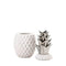 Gifts Modern Living Room Decor 12 Silver Topped Pineapple Jar Koehler