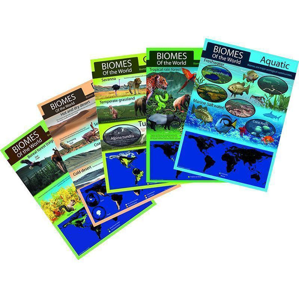 HABITAT BULLETIN BOARD SET-Learning Materials-JadeMoghul Inc.