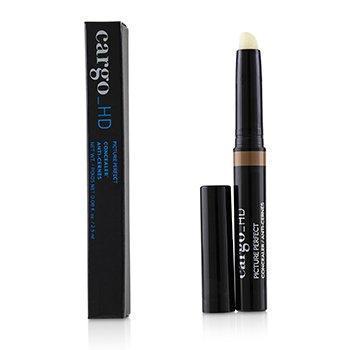 HD Picture Perfect Concealer -