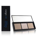 HD Picture Perfect Illuminating Palette - 3x3.6g/0.13oz-Make Up-JadeMoghul Inc.