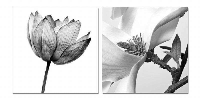 Home Art Canvas Art - 24" Black and White Canvas 2 Panels Photo HomeRoots