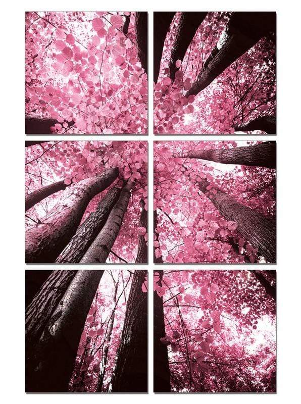 Home Art Canvas Art - 24" Canvas 6 Panels Blossom Trees Color Photo HomeRoots