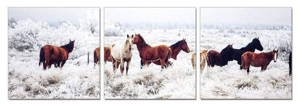 Home Art Canvas Art - 24" Multicolor Canvas 3 Horizontal Panels Horses Photo HomeRoots