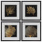 Home Decor Decorative Frame - 20" X 20" Dark Wood Toned Frame Coral (Set of 4) HomeRoots