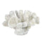 Home Decor/Gifts Living Room Decor Small White Coral Decor Koehler